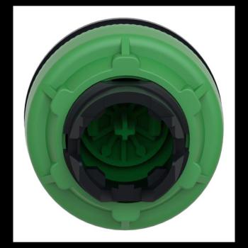  t�te BP flush marqu� vert 