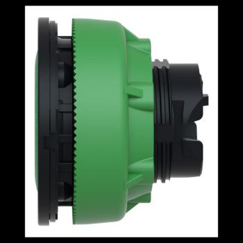  t�te BP flush marqu� vert 