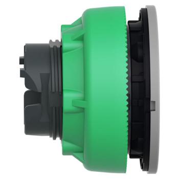  t�te BP flush O22 �tiq vert 