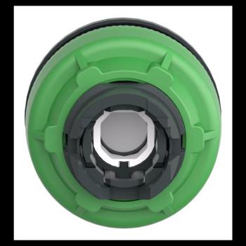  TETE ENCASTREE VOYANT ROU 