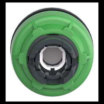  TETE ENCASTREE BOUTON POU 