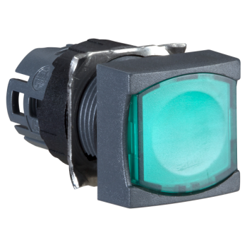  TETE CARREE POUR BOUTON P 