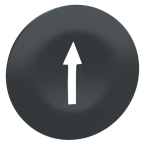  CAPSULE B P NOIR MARQ FLE 