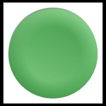  CAPSULE LISSE VERT POUR P 