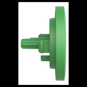  CAPSULE LISSE VERT POUR P 